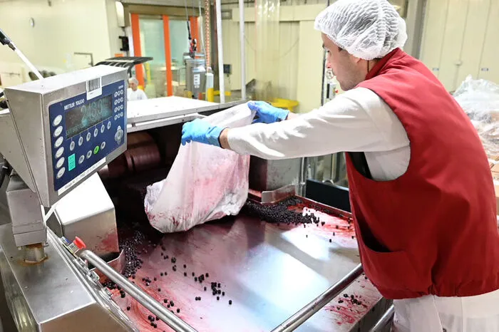 Da Fruchtjoghurt immer Saison hat, werden tiefgekühlte Früchte verarbeitet.