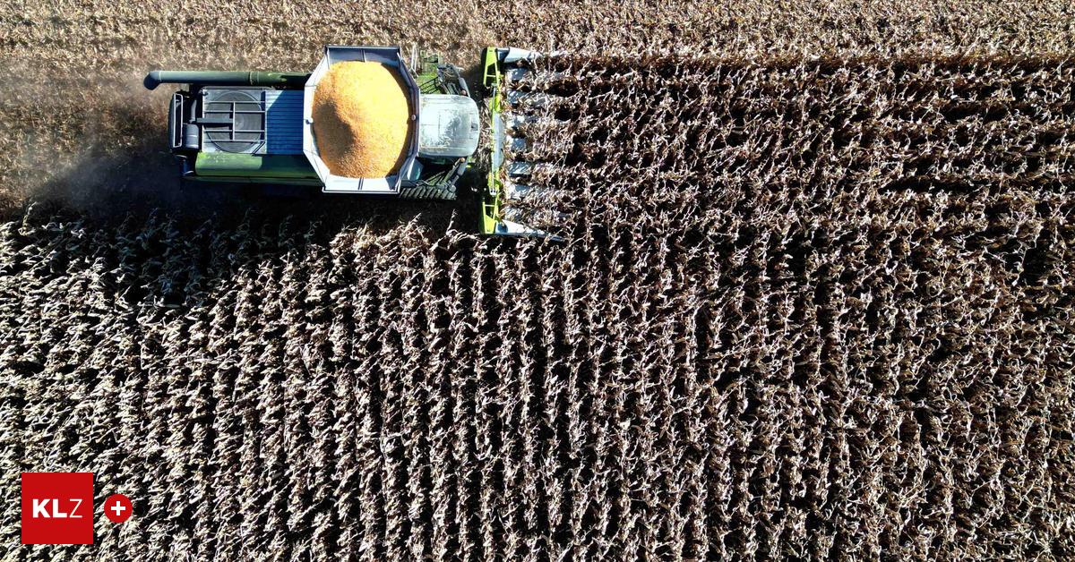 Wahl-am-Sonntag-Was-steirische-Bauernvertreter-wollen