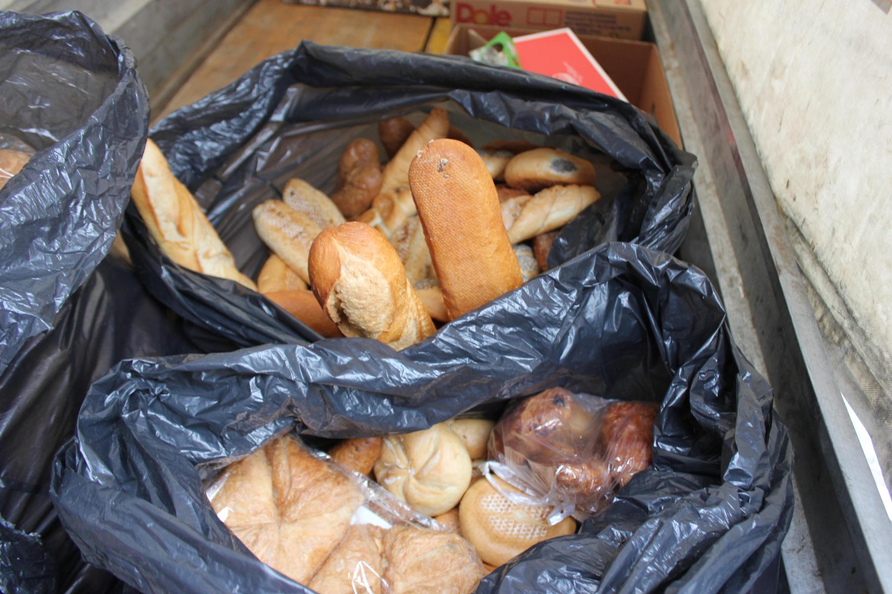 Essen statt wegwerfen: Jeder Haushalt wirft Lebensmittel im Wert von 300 Euro weg