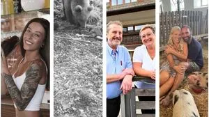 Die Geschichten mit den meisten Klicks