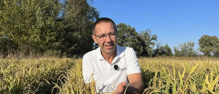 Ewald Fröhlich inmitten eines seiner Reisfelder, das er im Dammsystem bewirtschaftet
