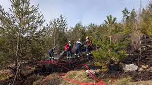 Die trockene Vegetation machte rasches Handeln notwendig