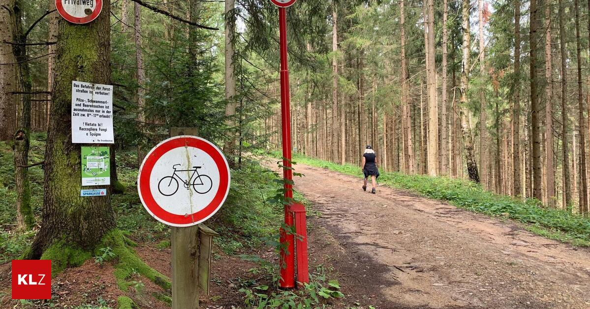 Umdenken-bei-Waldbesitzer-berraschende-Wende-um-den-verbotenen-Berg-f-r-Mountainbiker