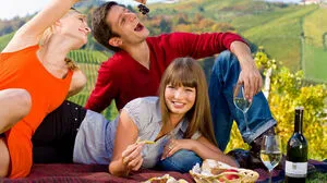 Der steirische Wein: Eine Art Lebensader einer Region