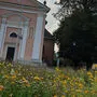 Viele Gemeinde legten Blumenwiesen an