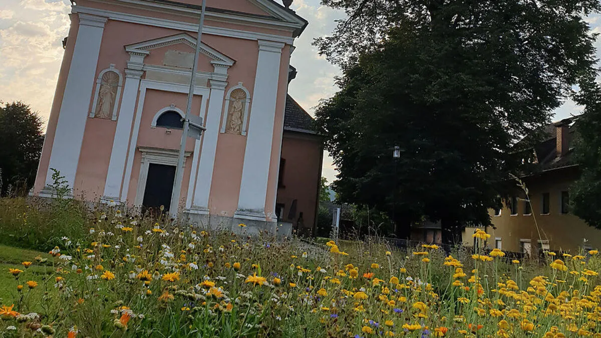 Viele Gemeinde legten Blumenwiesen an