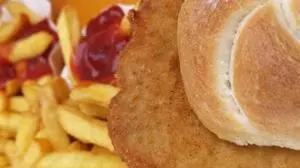 ++ THEMENBILD ++  Illustration zum Thema "ERNÄHRUNG / FLEISCH / GESUNDHEIT / FAST FOOD": Im Bild eine Schnitzelsemmel mit Pommes Frittes, am 10. August 2019.