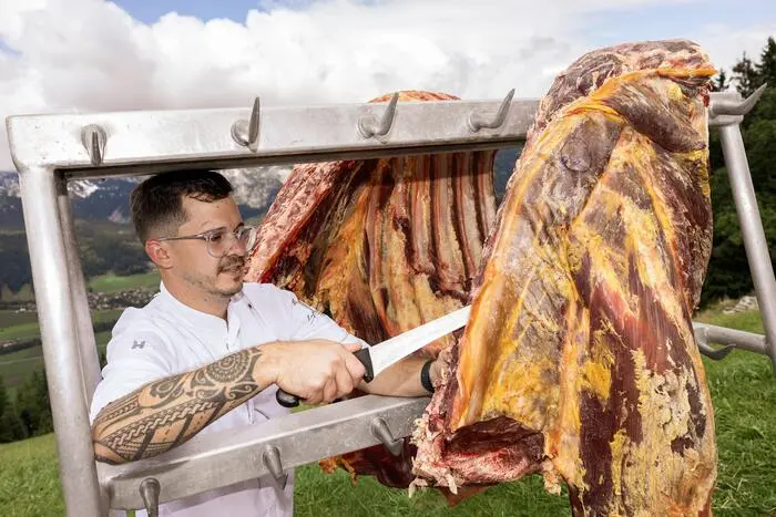 Das Fleisch von alten Kühen zeichnet sich durch feine Marmorierung und einen kräftigen Geschmack aus.