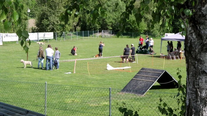 Lautes Hundebellen war am Samstag in der Bezirkshauptstadt St. Veit zu vernehmen. 