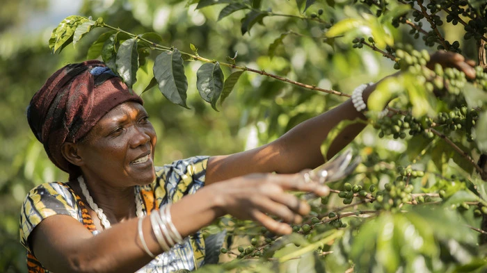 Fairtrade-Bäuerin Viktoria erntet 2400 Kilo Kaffeekirschen pro Saison | Fairtrade-Bäuerin Viktoria erntet 2400 Kilo Kaffeekirschen pro Saison