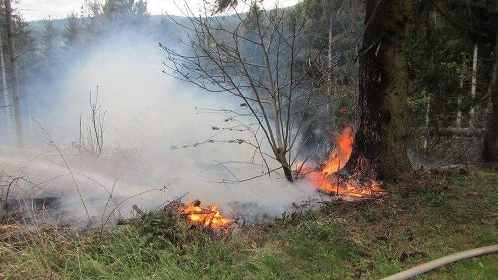 Ein auf eine Stromleitung gefallener Baum verursachte einen Waldbrand