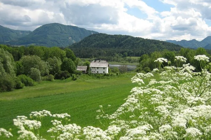 Fast schon romantisch. So sieht das Moorgebiet mit der Tomarkeusche im Mai aus
