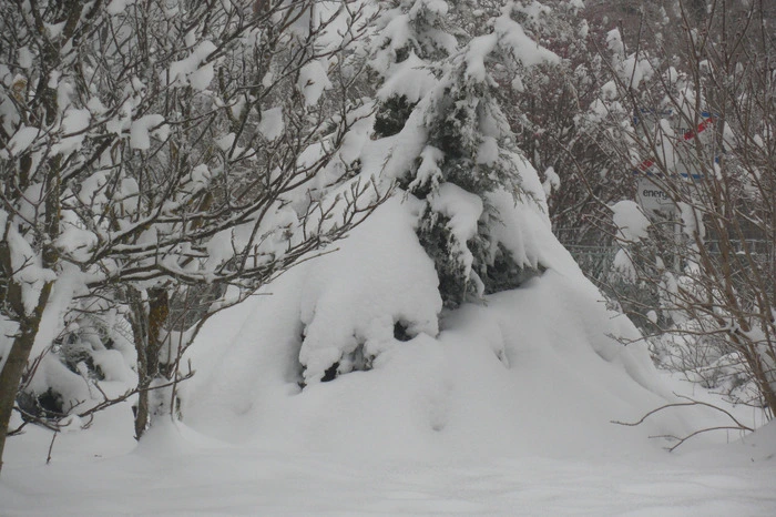 1. Februar 2014