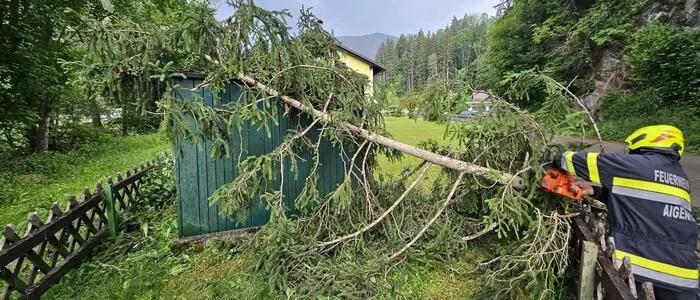 Die FF Aigen bekam es unter anderem mit einem Baum zu tun, der auf eine Gartenhütte gefallen war