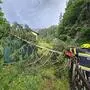 Die FF Aigen bekam es unter anderem mit einem Baum zu tun, der auf eine Gartenhütte gefallen war
