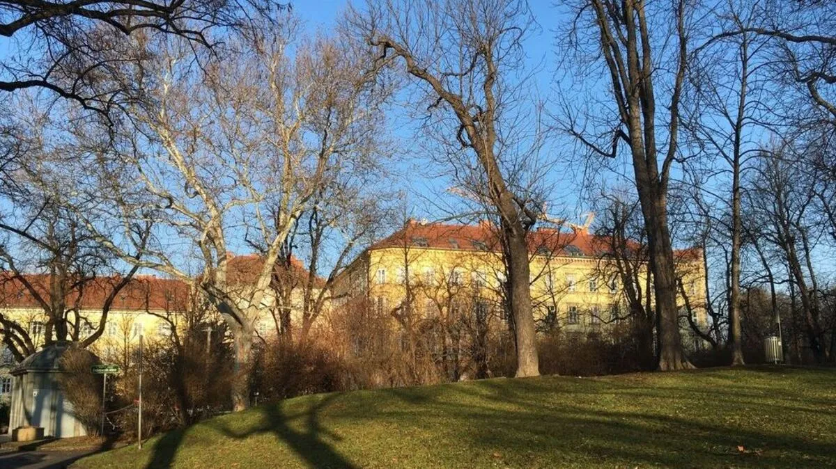 Vor dem Jahreswechsel gehen sich noch einige Sonnenstunden aus