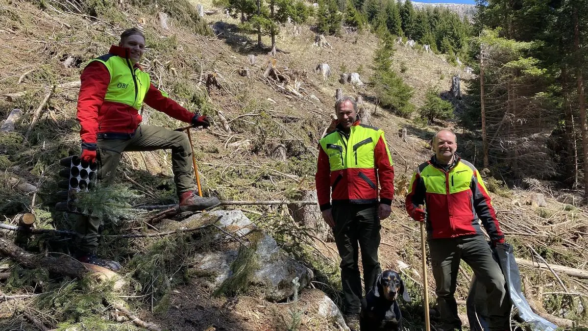 Forstfacharbeiter Rene Egger, Revierleiter Arnold Knötig und Forstfacharbeiter Ewald Egger beim Aufforsten