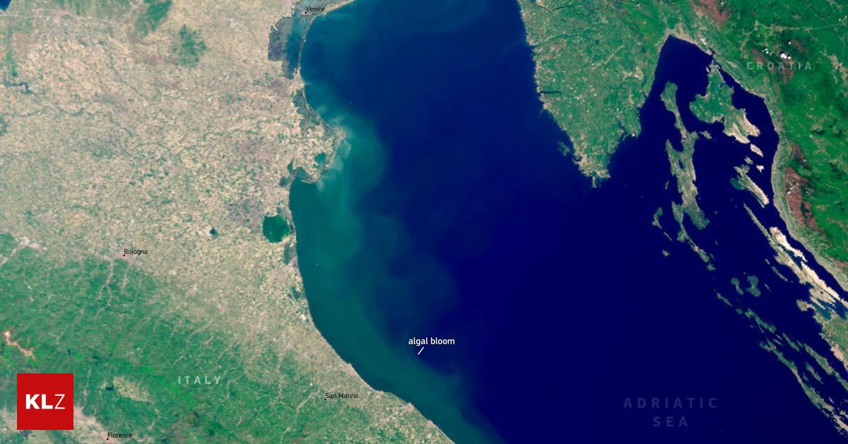 Satellitenbilder zeigen beunruhigendes Phänomen an der Adria