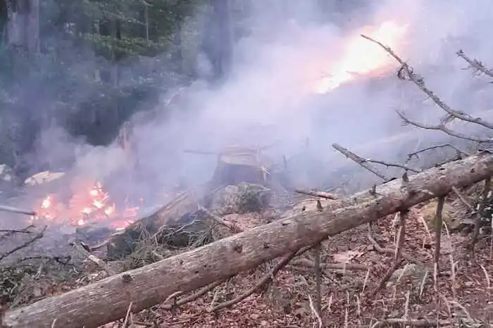 Einsatz im Gebiet Wildalpe am 27. September