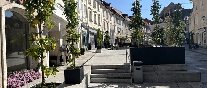 Blick auf die neuen Pflanzentröge am Hohen Platz