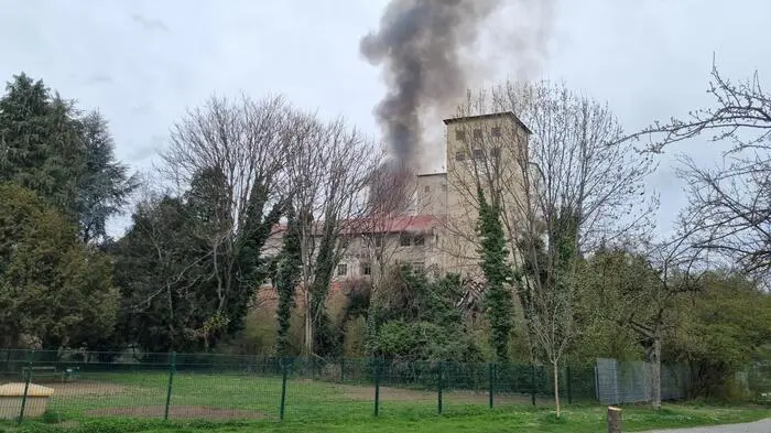 Großeinsatz in Graz-Gries: Die Berufsfeuerwehr war, unterstützt von fünf Wehren aus Graz-Umgebung, am 1. April 2023 im Einsatz, um den Brand der Grazer Rösselmühle zu bekämpfen.