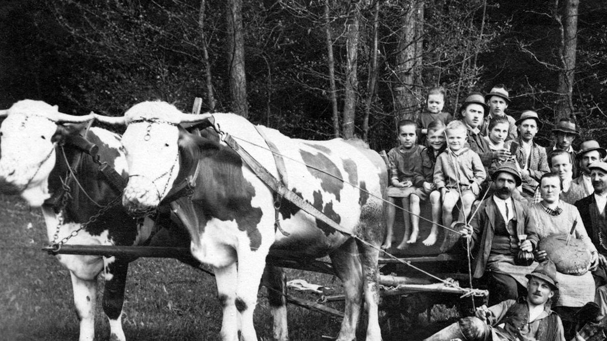 Eine Bauernfamilie um 1900 