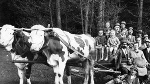 Eine Bauernfamilie um 1900 