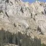 Es kam erneut zu einem Waldbrand