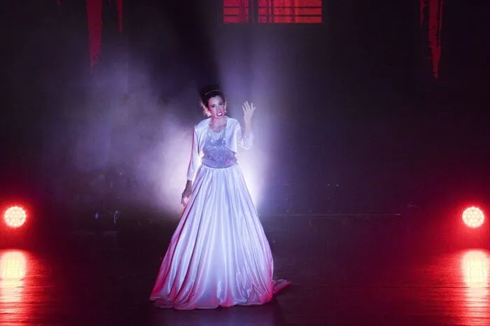 Aufwändige Choreografien, farbenfrohe Kostüme und ein ausgefeiltes Licht- und Soundkonzept garantierten einen unvergesslichen Abend für Jung und Alt.