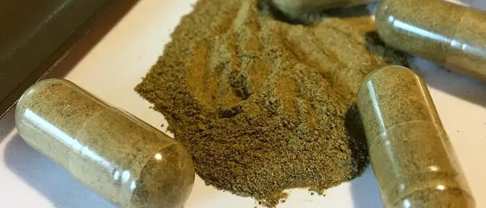 Kratom wird aus den Blättern eines Tropenbaums gewonnen und hat starkes Abhängigkeitspotenzial