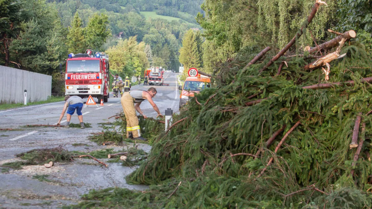 Die Feuerwehr räumte die Straße