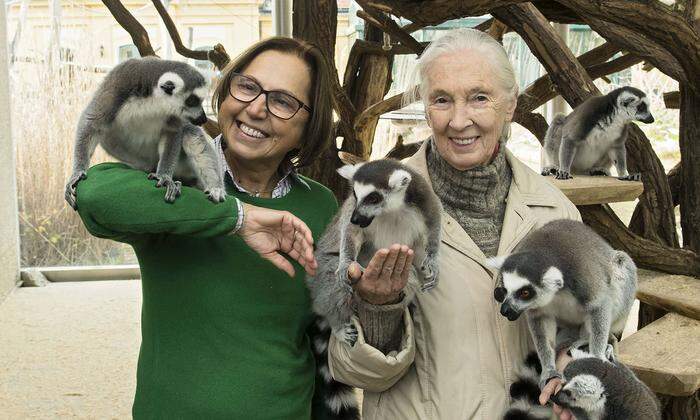 Jane Goodall beim Besuch der Kattas mit Tiergartendirektorin Dagmar Schratter
