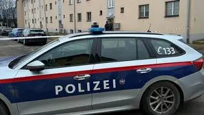 Die Bluttat ereignete sich Ende Jänner in der Stadt Leoben