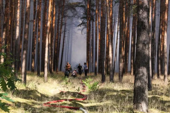 Die Feuerwehr konnte die Flammen zurückdrängen.