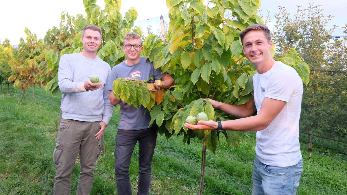 Die &quot;Bananenbauern&quot; Dominik Reiter, Julian Pauger und Philipp Ertl kultivieren Indianerbananen an drei Standorten in der Oststeiermark