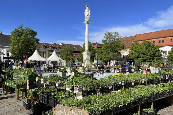 Die Sortenvielfalt an Jungpflanzen, alten Sorten und Samen von 25 Ausstellern war enorm. Handgefertigte Gartenkunst und Gartenutensilien runden das Angebot ab. 