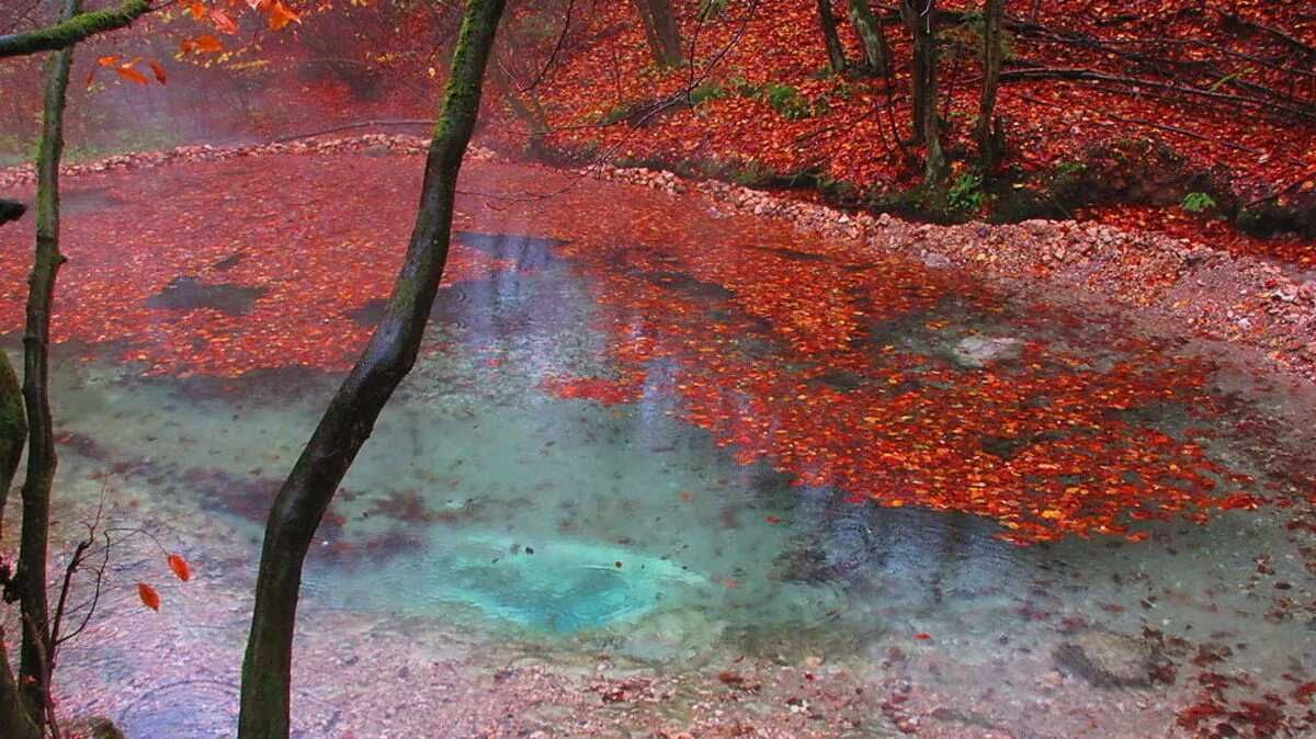 Das Maibachl erstrahlt in herbstlichen Farben