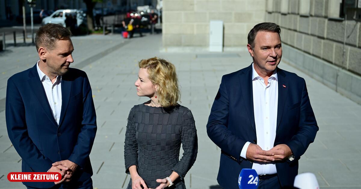SPÖ committees met: Babler's future was officially not on the agenda