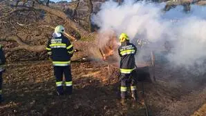 Die Eiche stand jahrzehntelang in unmittelbarer Nähe zum Schieflinger Ortskern, unweit des „Herk-Kreuzes“