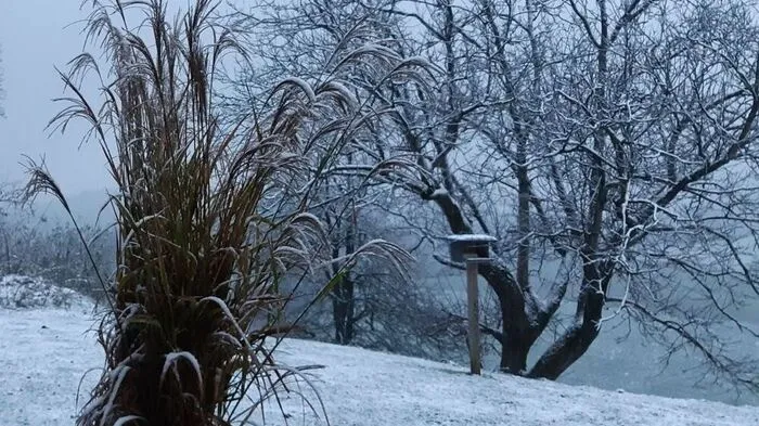 Winter in St. Ulrich im Greith
