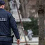 Die Polizei konnte die Tatverdächtigen ausforschen