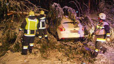 Schneefall in der Nacht: Baum stürzte auf Auto