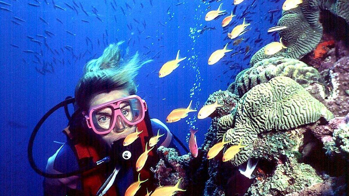 Umweltschützer befürchten Folgen für das Great Barrier Reef