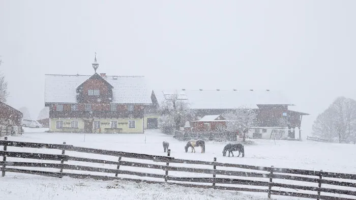 Bauernhof in Rohrmoos im Oberen Ennstal...