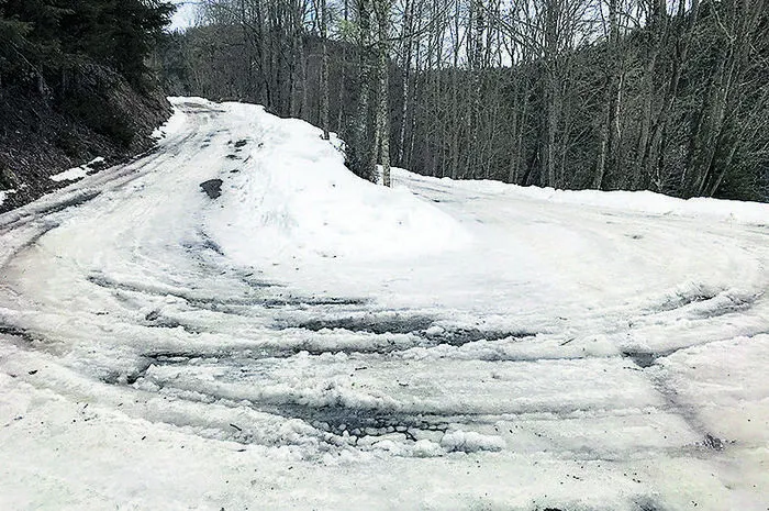 Apropos Waldheimat. Es stimmt, der Weg führt durch Wälder und an Wäldern vorbei. Zur Zeit Peter Roseggers gab es hier allerdings nur rund ein Drittel des jetzigen Baumbestands. Bei ­dieser konkreten Kehre dürften die Roseggers also eine Abkürzung über den damals weniger bewaldeten Hang genommen haben …