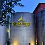 Ottakringer Bier