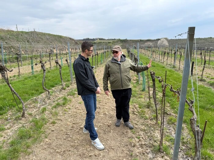 Mit dem Umstieg auf die Biodynamie im Jahr 2006 hat sich der Wagramer Winzer voll und ganz dem Rhythmus der Natur angepasst.