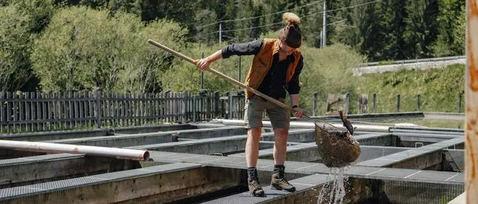 Christian Kohlmayr, Geschäftsführer der Fischerei Ausseerland, spricht von einer „Katastrophe für die Fischzüchter“