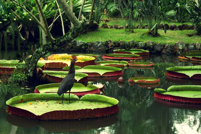 Der Regenwald am Amazonas verarbeitet pro Jahr rund zwei Milliarden Tonnen Kohlendioxid. Und er ist Produzent von etwa einem Fünftel des weltweit verfügbaren Sauerstoffs.