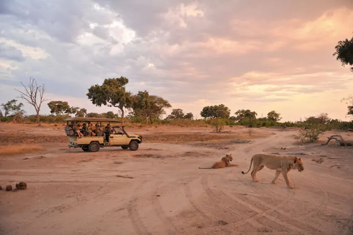 Flugsafari in Botswana. Es stehen sowohl Pirschfahrten am Tag sowie nächtliche geführte Safaris zu Fuß an. Des Weiteren sind Pirschfahrten im Okavango-Delta und Chobe National Park mit einer vielfältigen Flora und Fauna eingeplant. An-schließend landen die Reisenden im Linyanti Reserve, welches zum Chobe National Park gehört.